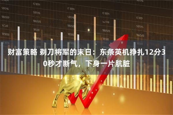 财富策略 剃刀将军的末日：东条英机挣扎12分30秒才断气，下身一片肮脏