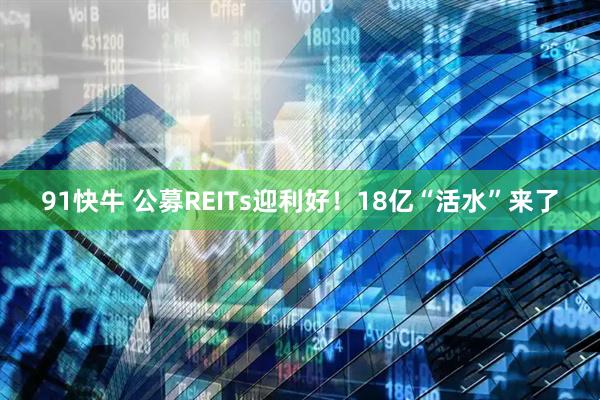91快牛 公募REITs迎利好！18亿“活水”来了